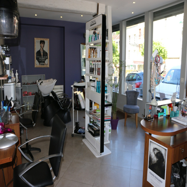 Vente Immobilier Professionnel Fonds de commerce Ancy-le-Franc 89160