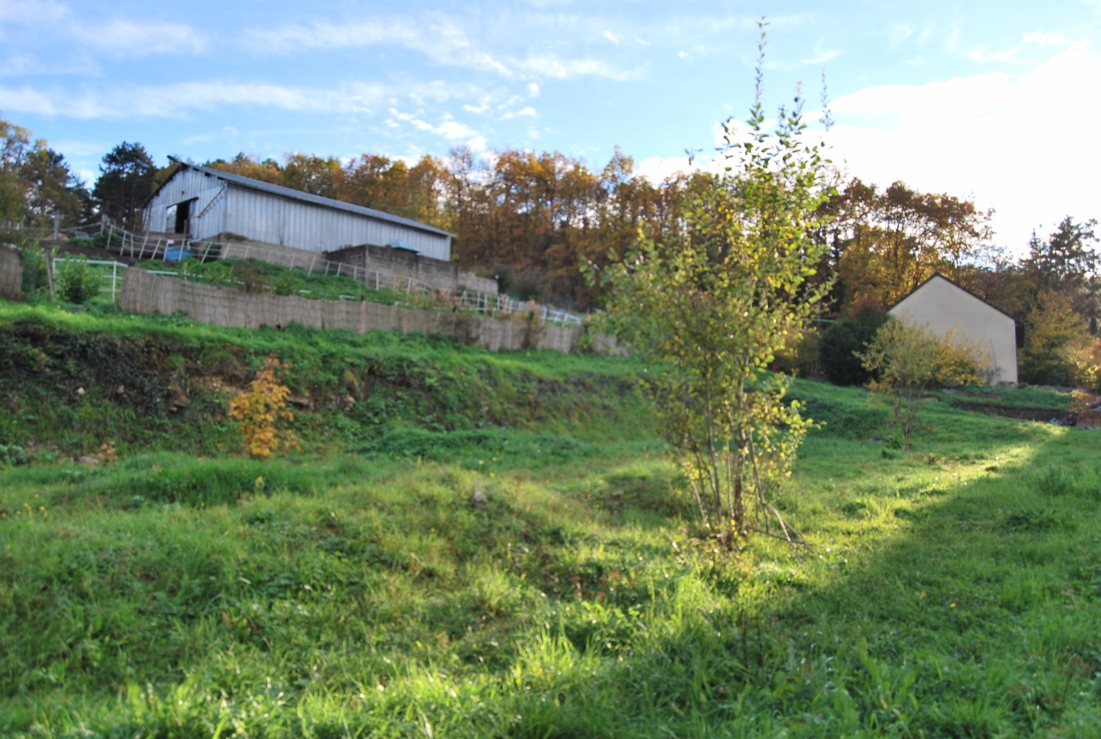 Offres de vente Terrain Tonnerre 89700